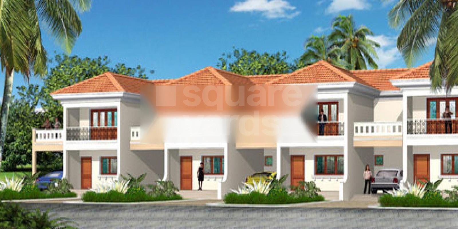 Saville SV Mesmeric Sunsets Featured Image