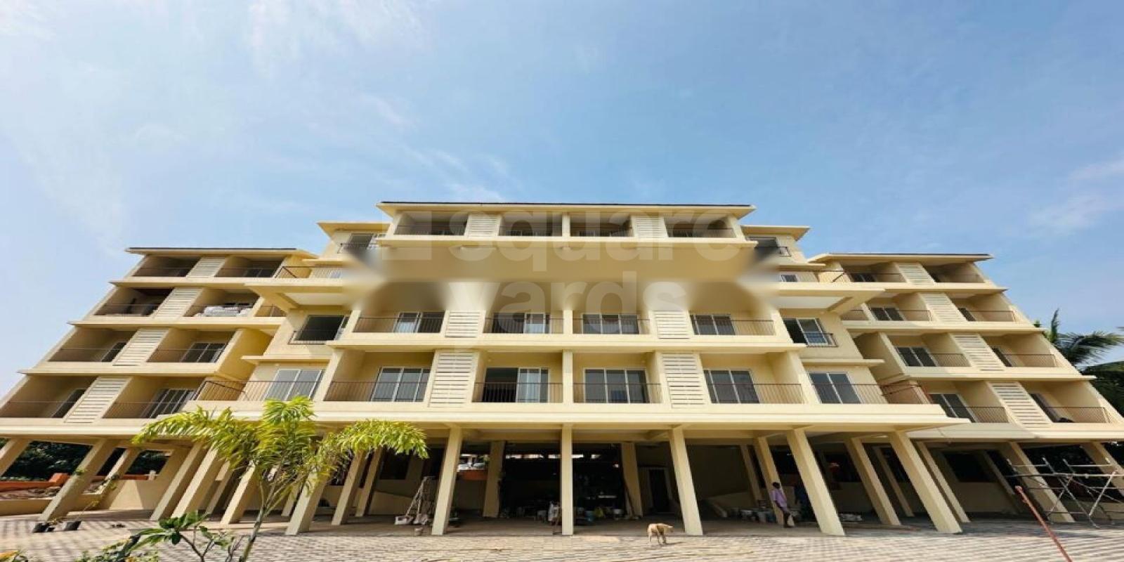 Solsons Gulmohar