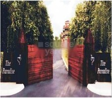 ACE The Paradise Featured Image