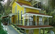 Acron Eugenia Evergreens Featured Image