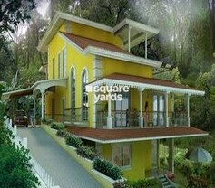 Acron Eugenia Evergreens, Moira, Goa