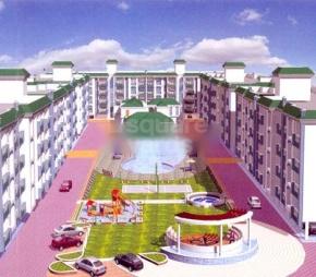 Akar Excelsior