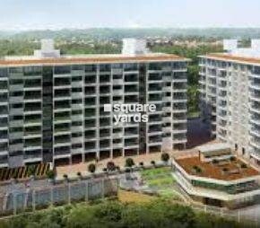 Alcon Estrela alcon, Panaji, Goa