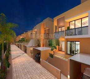 Alcon Serenity Avenue