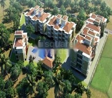 B and F Meadows Featured Image