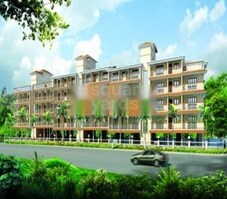 C V Darius Paradise Featured Image