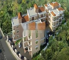 Calm The Acasia Greens Featured Image