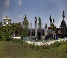 Conscient Calem Grove Featured Image