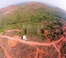 GM Orchid Featured Image