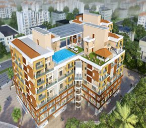 Kayji Palladium Featured Image