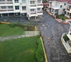 L And L Dongorim Pearl Featured Image