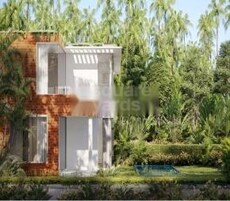 La Masillia Featured Image