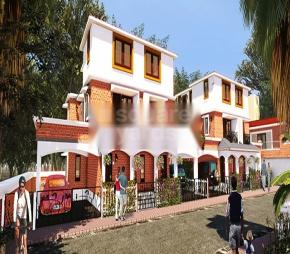 Mario Vivendas Featured Image