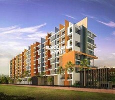 Marvel Evora Featured Image