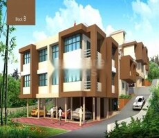 Mayfair Campos Rays Featured Image