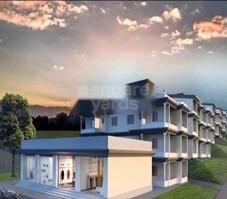 MS Assonora Garden Featured Image