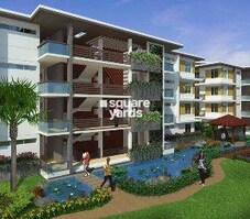 Naiknavare Esmeralda Featured Image