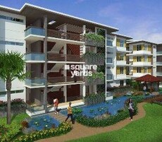 Naiknavare Esmeralda Featured Image