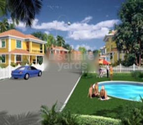 Nanu Sapana Whispering Palms