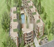 Niho Scottish Palm Groove Featured Image