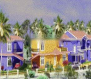 Ocean Paradise