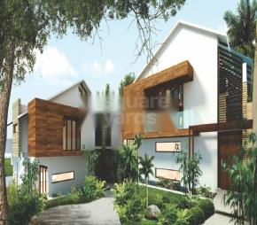 P Four Pioneer Greens Featured Image