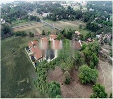 Panache By Pinto Rosario Featured Image