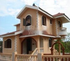 Pinto Rosario Splendour Featured Image