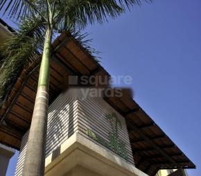 Prudential Palms