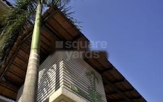 Prudential Palms Featured Image
