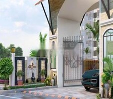 Purple Amour Featured Image