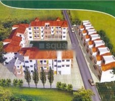 Queeny Meadows Featured Image