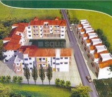 Queeny Meadows Featured Image