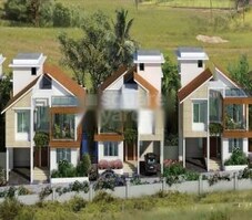 Rainforest Boulevard Featured Image