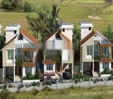 Rainforest Boulevard Featured Image