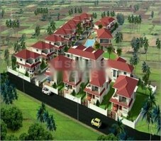 Royal Harmony Featured Image