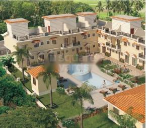 Saldanha Bougainvilla