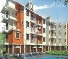 Saldanha Orchid Featured Image