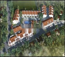 Saldanha Rosa Featured Image