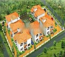 Sharayu Petals Featured Image