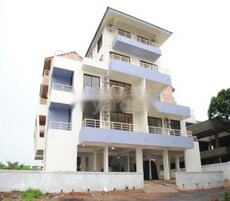 SJ Tropical Palms Featured Image