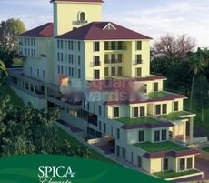 Spica Elegante Featured Image