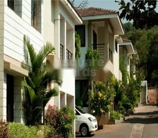 Sun Solace Featured Image