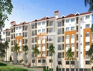 tn umiya quatro flagshipimg1