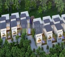 Veera Savannah Featured Image