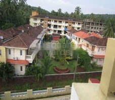 Vision Greens Featured Image