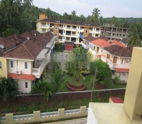 Vision Greens Featured Image