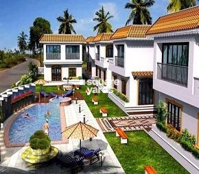 Vision Luxuria