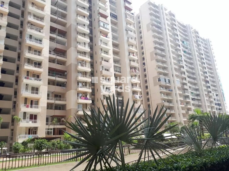 ACE Platinum Tower View 3