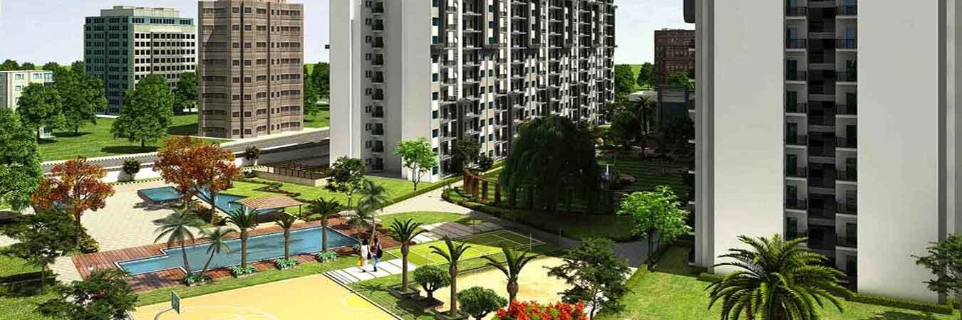 AFOWO Raksha Addela Amenities-Features